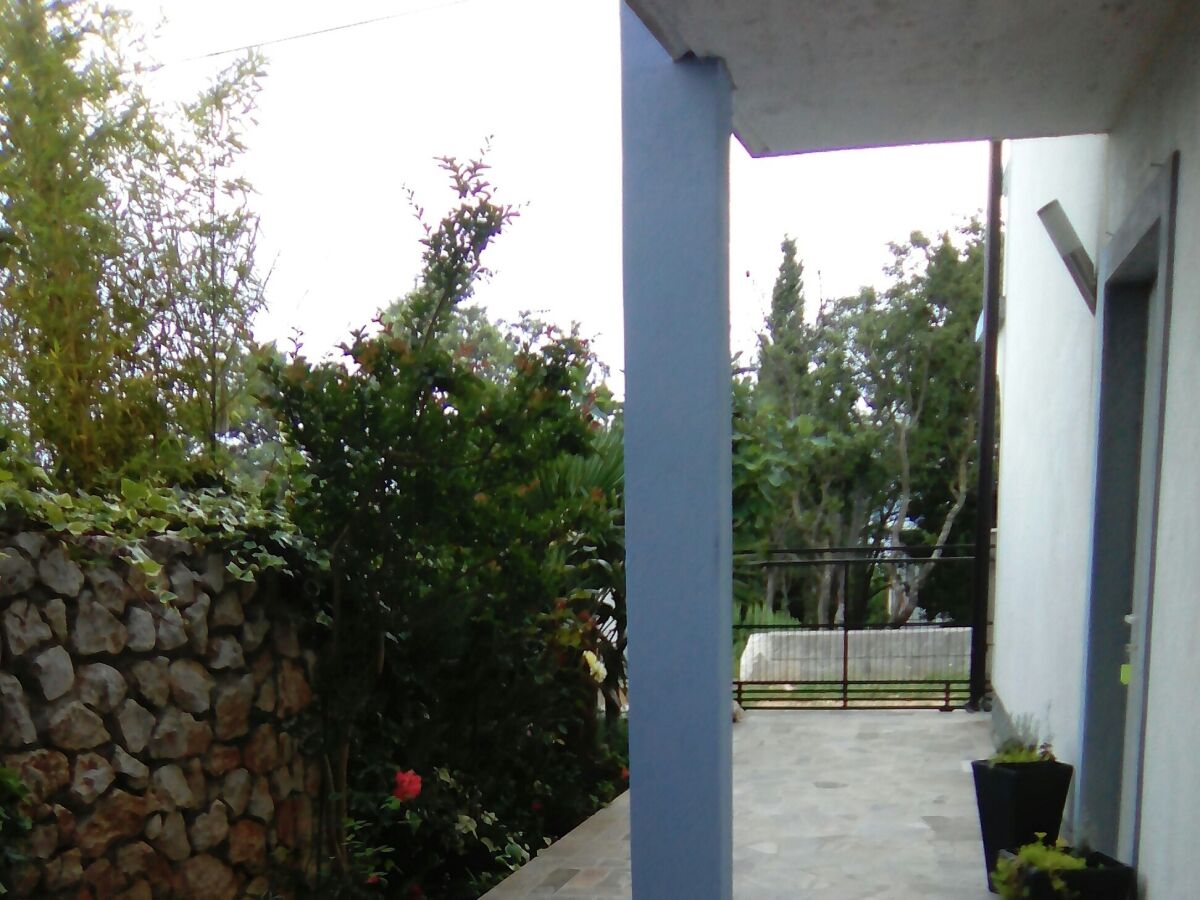 Apartment Novi Vinodolski 24