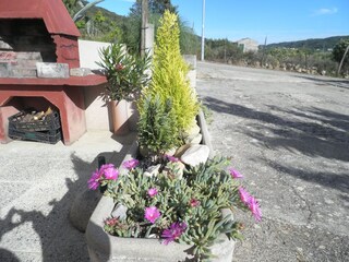 Apartment Supetarska Draga  4