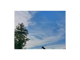 Holiday house Draž  12