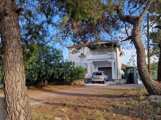 Apartment Seget Donji  1