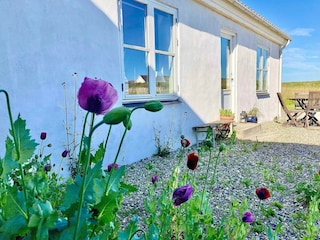 Vakantiehuis Ferring Buitenaudio-opname 5