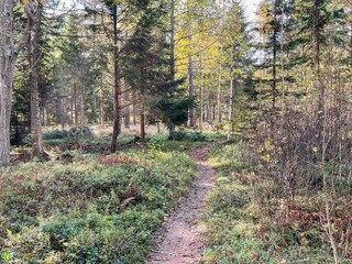 Casa de vacaciones Värmdö  20