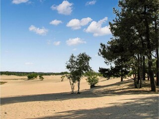 Parc de vacances Udenhout Environnement 16
