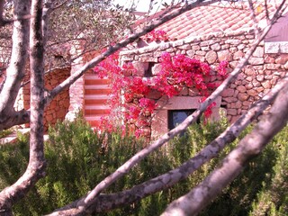 Appartamento per vacanze Porto San Paolo Registrazione all'aperto 11