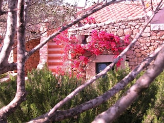 Ferienwohnung Porto San Paolo Außenaufnahme 4