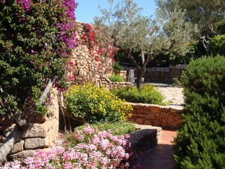 Appartamento per vacanze Porto San Paolo Caratteristiche 13