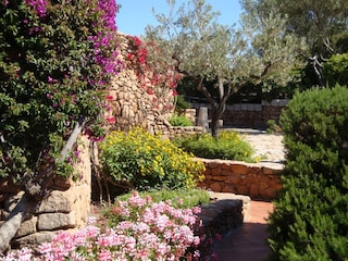 Ferienwohnung Porto San Paolo Umgebung 5