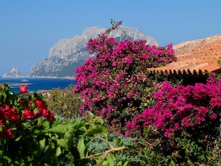 Ferienwohnung Porto San Paolo Umgebung 8