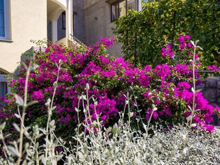 Holiday room Kraljevica  8