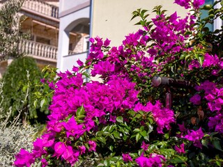 Holiday room Kraljevica  9