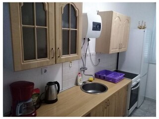 Apartment Vidalići  11