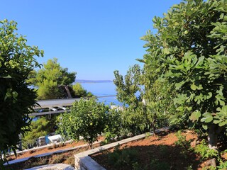 Apartment Seget Vranjica  13