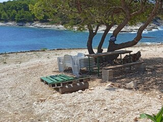 Apartment Primosten  9