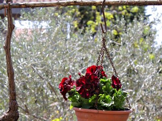 Apartment Kornić  8