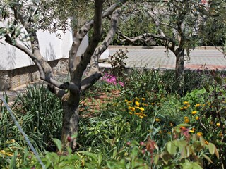 Apartment Kornić  9