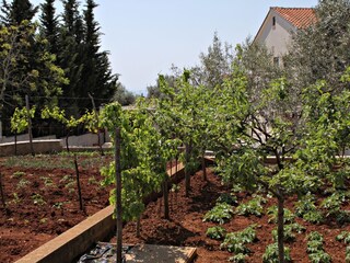 Apartment Kornić  10