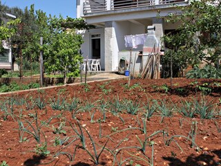 Apartment Kornić  11