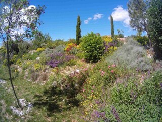 Ferienhaus Vogüé Umgebung 18