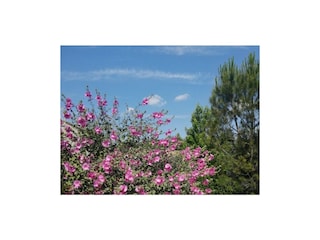 Ferienhaus Saint-Germain Umgebung 21