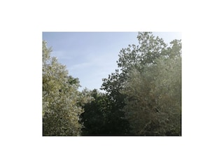 Ferienhaus Saint-Germain Umgebung 18