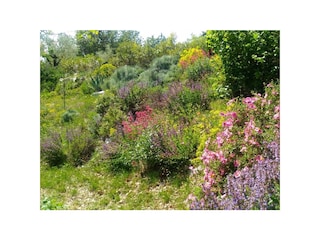 Ferienhaus Saint-Germain Umgebung 22