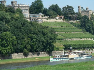 Schifffahrt zwischen Dresden und Pillnitz