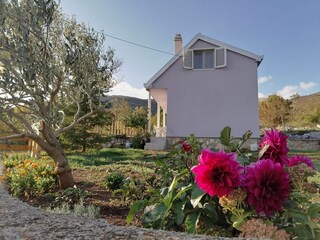 Holiday room Cetina  11