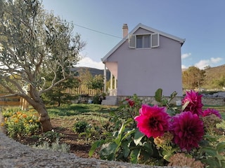 Holiday room Cetina  2