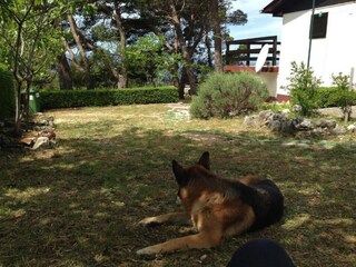 Holiday house Baška Voda  2