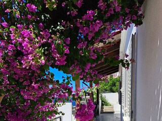 Apartment Pasadur  21