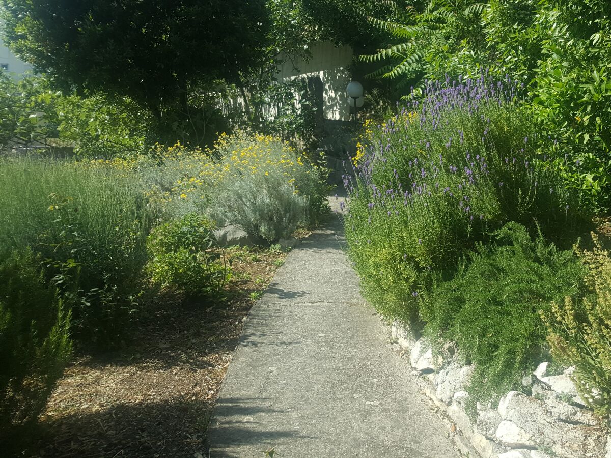 Apartment Gradac 5