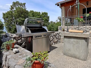 Ferienhaus Ledenice  5