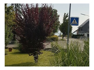 Holiday apartment Langenargen Outdoor Recording 10