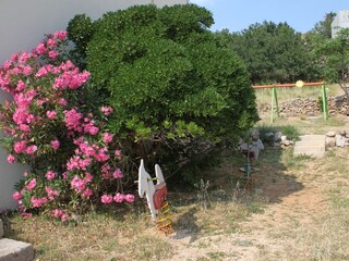 Apartment Metajna  9