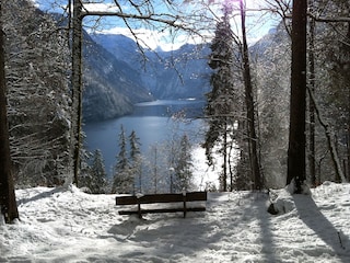 Ausblick auf den Königssee