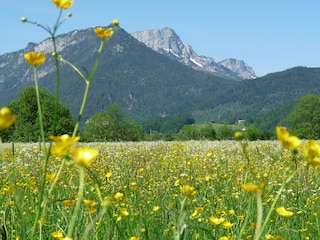 Frühjahrswanderung mit Blick auf den Untersberg