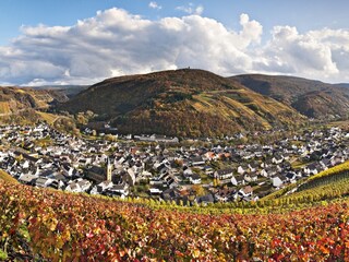 Vakantieappartement Dernau Buitenaudio-opname 1