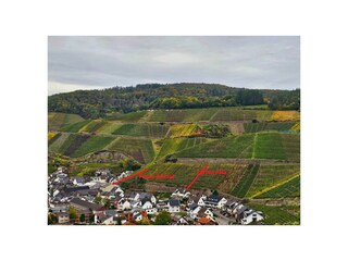 Vakantieappartement Dernau Omgeving 20