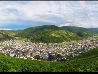 Vakantieappartement Dernau Omgeving 22