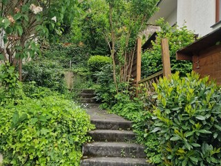 Vakantieappartement Dernau Buitenaudio-opname 9