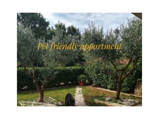 Holiday house Rovinj  11