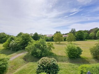 Blick aus dem Küchenfenster