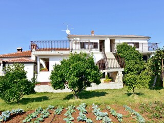 Holiday room Basanija  3