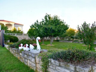 Holiday room Basanija  4