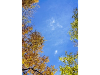 ~ unter dem Himmel der Tosca... ~