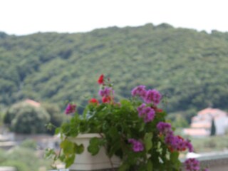 Apartment Supetarska Draga  37