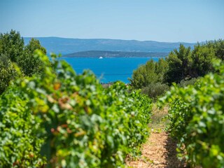 With a glass of wine in hand, relax in the vineyard