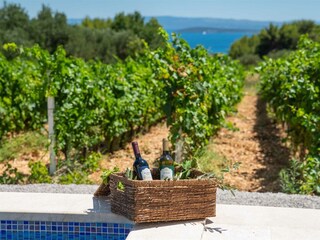 With a glass of wine in hand, relax in the vineyard