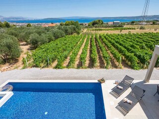 A beautiful view of the vineyard stretches out.