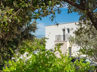 A beautiful view of the vineyard stretches out.